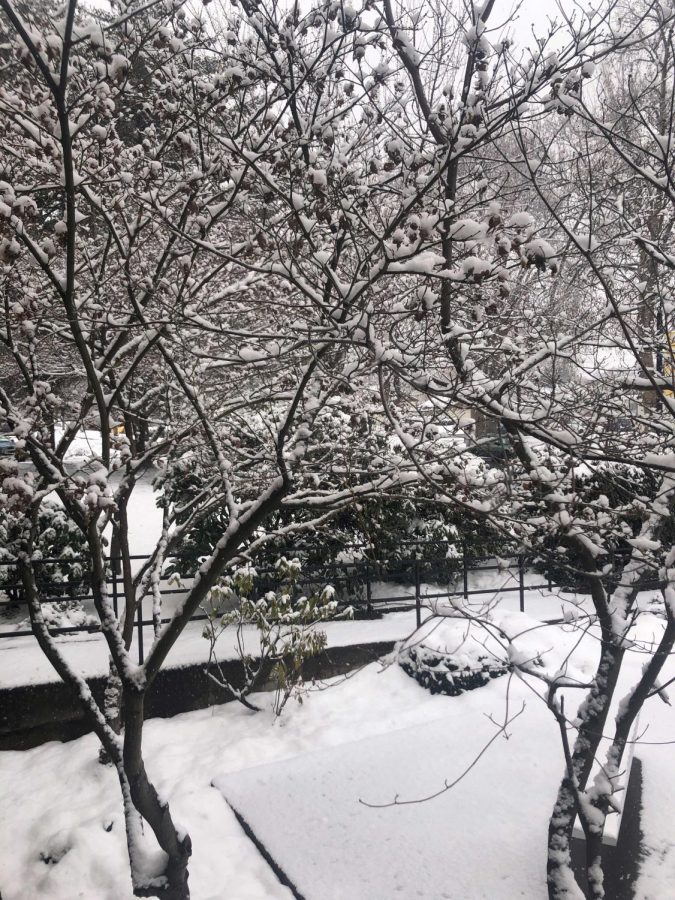 Snow covers the Lewiston High School campus in late February 2019. 