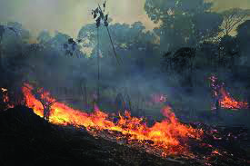 Amazon rainforest burns after fires set in early August. Photo courtesy of npr.org.