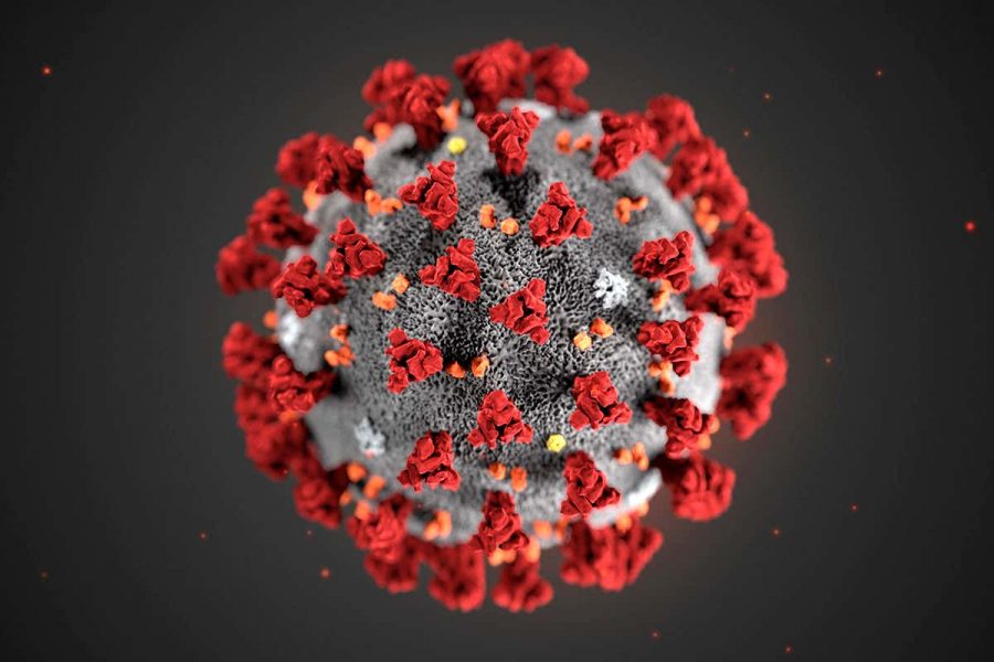 Microscopic+image+of+the+covid-19+virus.+Photo+courtesy+of+Newscientist.com