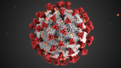 The novel Coronavirus. Image courtesy of cdc.gov