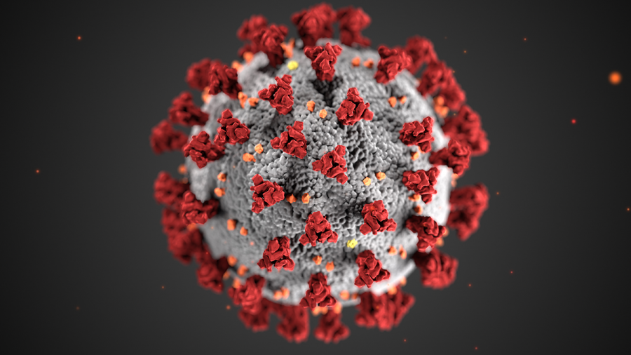The novel Coronavirus. Image courtesy of cdc.gov