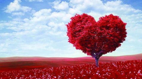 A heart shaped tree sits in a field of Roses
