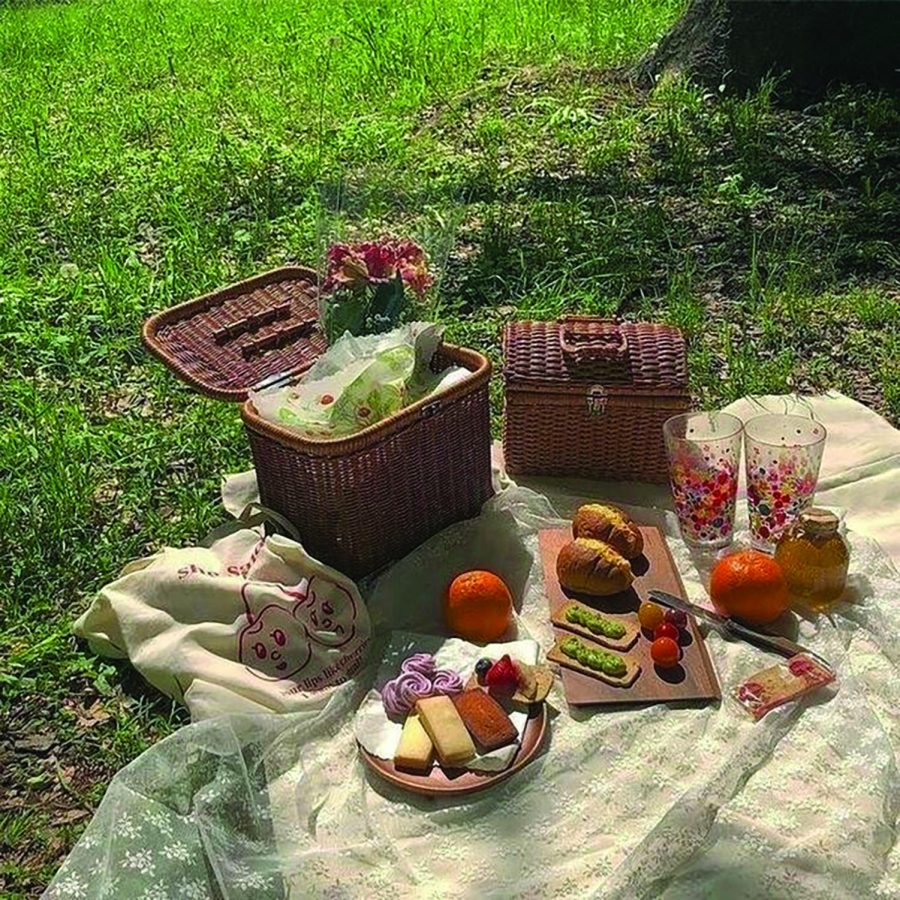 Fun summer picnic to add to your bucket list. Photo courtesy of Pinterest.
