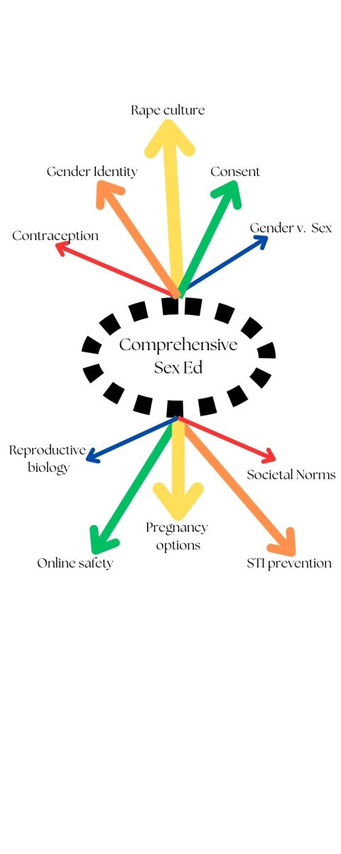 Some elements of comprehensive sex education. Infographic created by Pax Latta. 