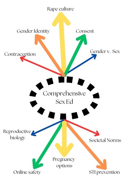 Some elements of comprehensive sex education. Infographic created by Pax Latta. 