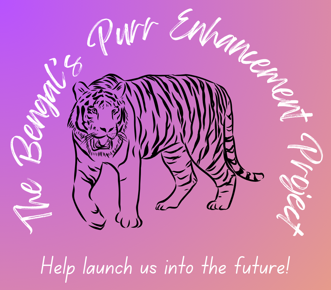 The Bengal’s Purr Enhancement Project