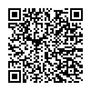 QR code to share thoughts and opinions on the future of the Bengal's Purr