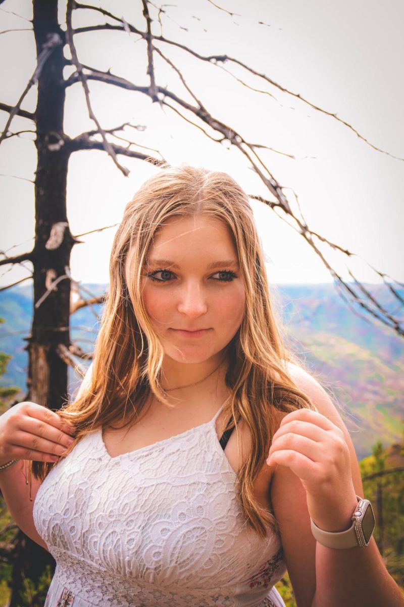 Alicia iorg