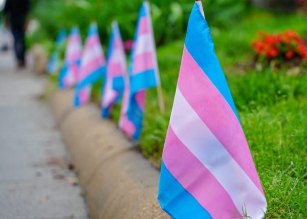 House Bill 239 strips educational rights
